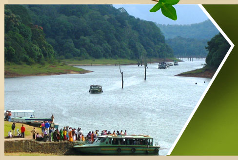 resorts in thekkady, Hotels in thekkady