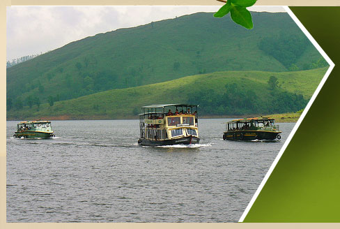 resorts in thekkady, Hotels in thekkady